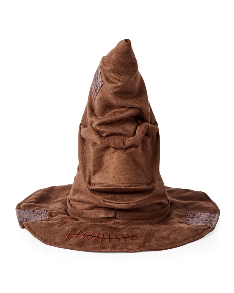 HARRY POTTER LE CHOIXPEAU  15 phrases, des détails authentiques et ...