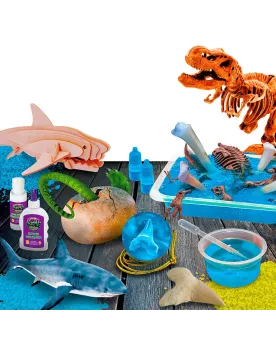 CRAZY SCIENCE REQUINS ET DINOSAURES  Découvrez des secrets et curio...