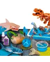 CRAZY SCIENCE REQUINS ET DINOSAURES  Découvrez des secrets et curio...