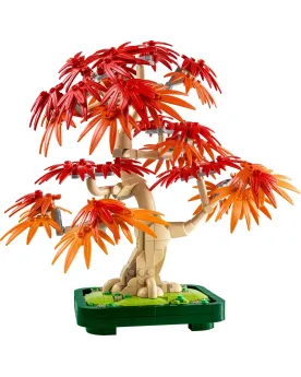 BONSAI D'ERABLE ROUGE DU JAPON
