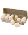 MEM'OEUF