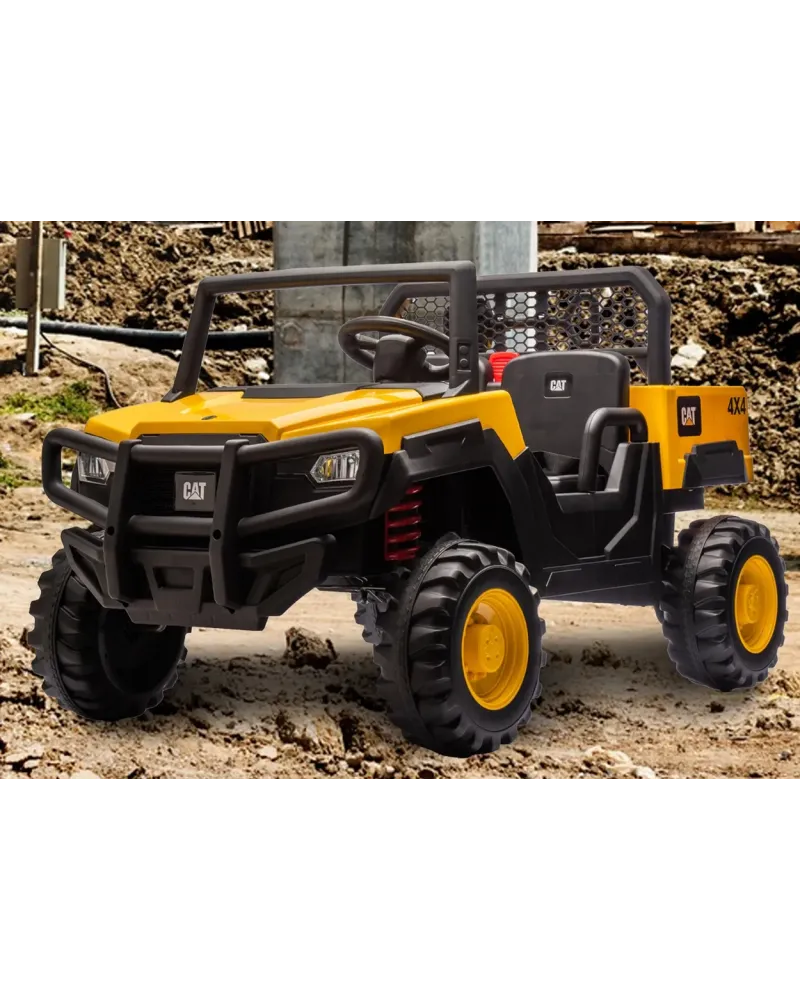 BUGGY CAT 2PLACES 10.8V L/S +RC