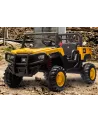 BUGGY CAT 2PLACES 10.8V L/S +RC