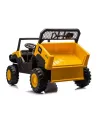 BUGGY CAT 2PLACES 10.8V L/S +RC