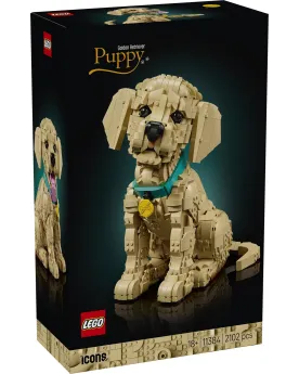 LE CHIOT GOLDEN RETRIEVER