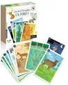 JEU DES 9 FAMILLES LA FORET