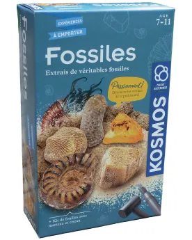 KIT D'EXCAVATION VERITABLES FOSSILES