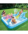 PLAYCENTER AQUARIUM + TOBOGGAN 239X206