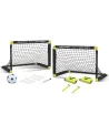 2 GOALS 91X61CM + BALLON