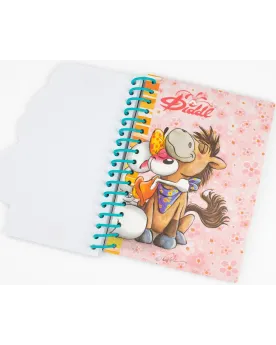 CARNET FORME A6 DIDDL 2ASS.