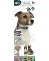 TOY PET COLLIER MOYEN/GRAND PERSONNALISE