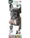 TOY PET COLLIER PETIT/MOYEN PERSONNALISE