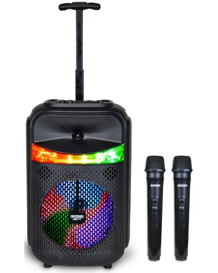 TROLLEY HAUT PARLEUR RADIO 220W 2 MICRO