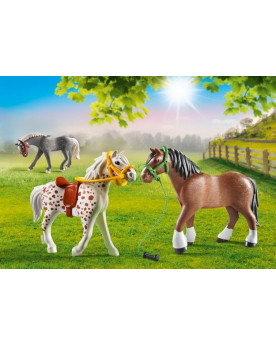 3 CHEVAUX