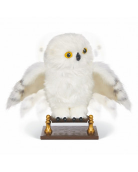HEDWIGE ENCHANTÉE