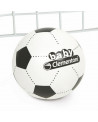 TIGOAL