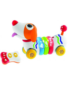BABY SENSES R.C. DOGREMI