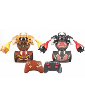 R.C. BATAILLE ROBOT VS VIKINGS