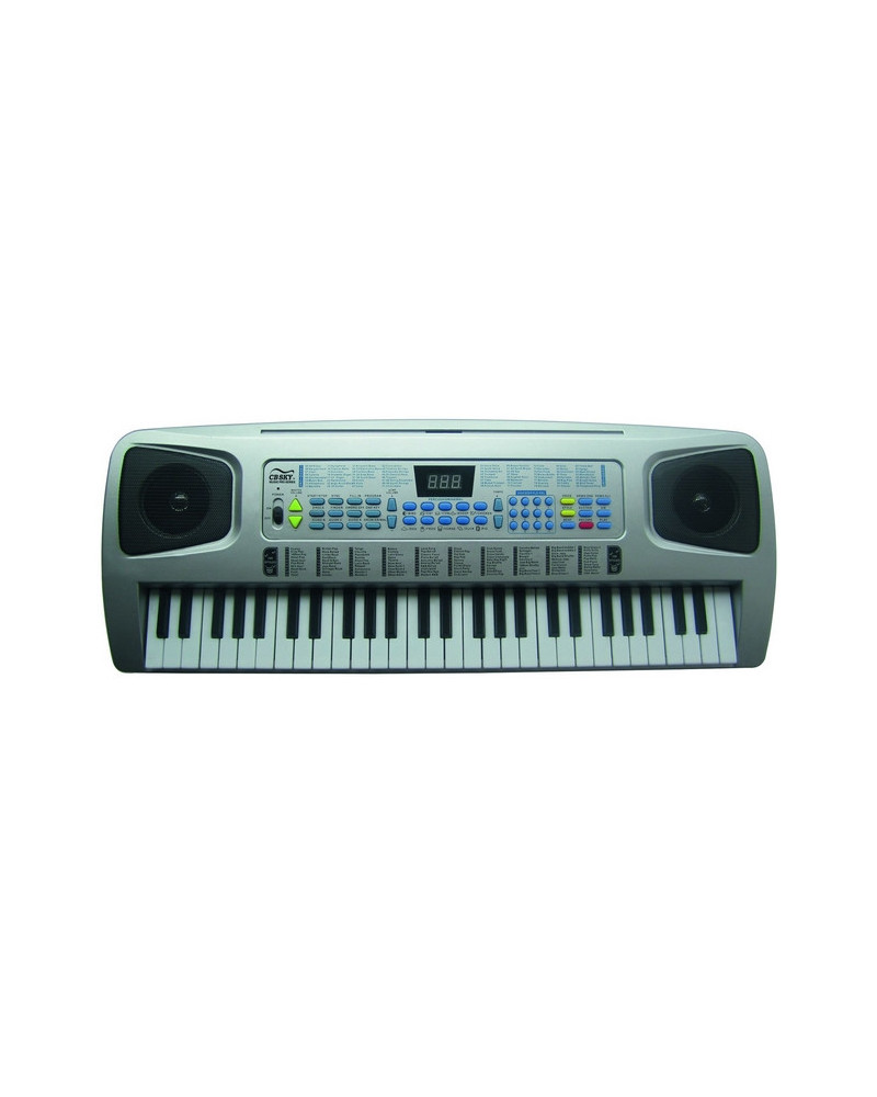 SYNTHETISEUR 54 TOUCHES + ADAPTATEUR