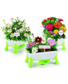 KID'S GARDEN MARGERIRES ZINIAS COSMOS