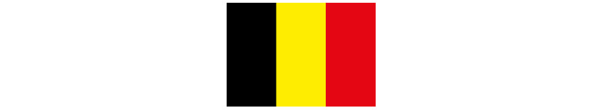 BELGIUM TEAM